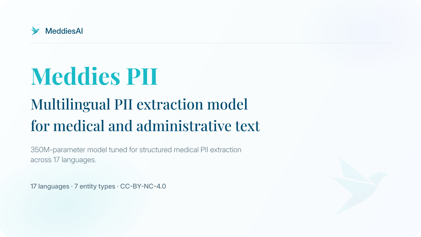Meddies PII hero banner for a multilingual PII extraction model