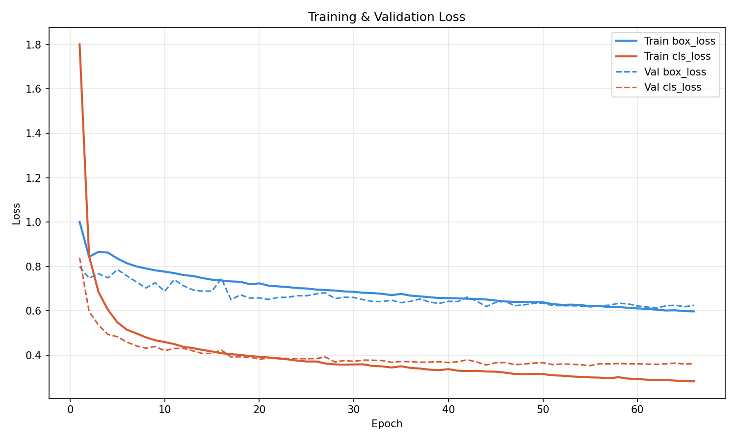 Training Loss